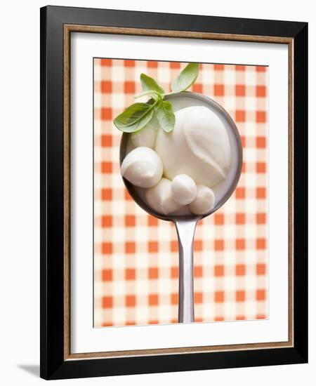 Mozzarella with Basil in Ladle-Marc O^ Finley-Framed Photographic Print