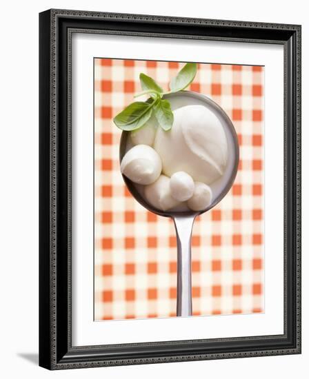 Mozzarella with Basil in Ladle-Marc O^ Finley-Framed Photographic Print