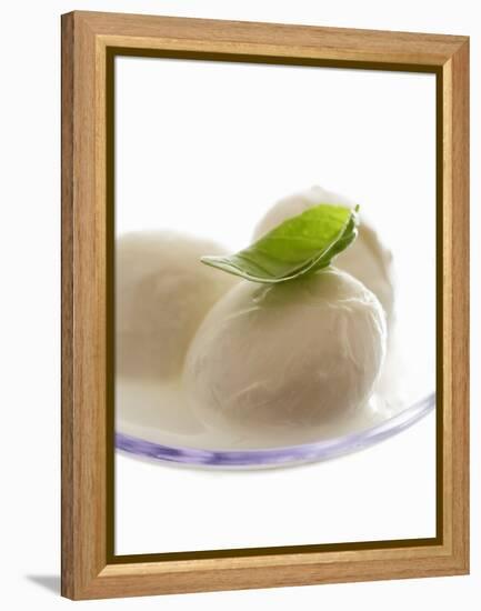 Mozzarella with Basil on Plastic Spoon-Marc O^ Finley-Framed Premier Image Canvas