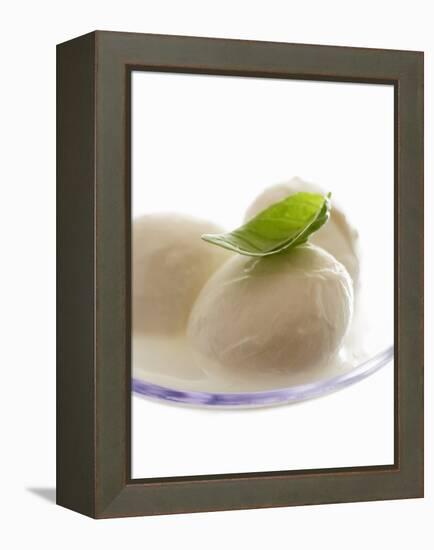 Mozzarella with Basil on Plastic Spoon-Marc O^ Finley-Framed Premier Image Canvas