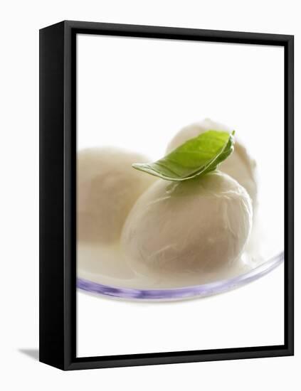 Mozzarella with Basil on Plastic Spoon-Marc O^ Finley-Framed Premier Image Canvas
