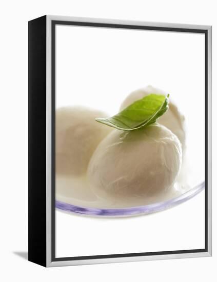 Mozzarella with Basil on Plastic Spoon-Marc O^ Finley-Framed Premier Image Canvas