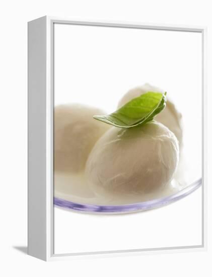 Mozzarella with Basil on Plastic Spoon-Marc O^ Finley-Framed Premier Image Canvas