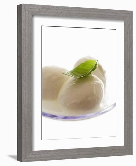 Mozzarella with Basil on Plastic Spoon-Marc O^ Finley-Framed Photographic Print