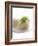 Mozzarella with Basil on Plastic Spoon-Marc O^ Finley-Framed Photographic Print