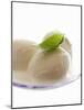 Mozzarella with Basil on Plastic Spoon-Marc O^ Finley-Mounted Photographic Print