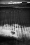 Calmness before the wind blows-Peter Svoboda, MQEP-Framed Premium Photographic Print