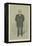 Mr Andrew Carnegie-Sir Leslie Ward-Framed Premier Image Canvas