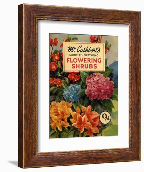 Mr Cuthberts Guide To Flowering, 1953, UK-null-Framed Giclee Print