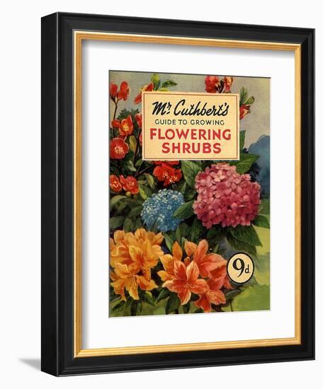 Mr Cuthberts Guide To Flowering, 1953, UK-null-Framed Giclee Print