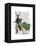 Mr Deer and Mrs Rabbit-Fab Funky-Framed Stretched Canvas