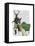 Mr Deer and Mrs Rabbit-Fab Funky-Framed Stretched Canvas