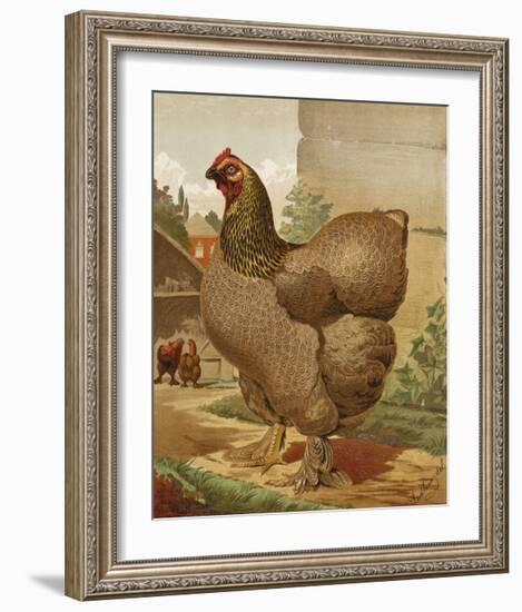 Mr. E. Tudman’s Partridge Cochin Hen “Titania”-J^ W^ Ludlow-Framed Premium Giclee Print