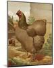 Mr. E. Tudman’s Partridge Cochin Hen “Titania”-J^ W^ Ludlow-Mounted Premium Giclee Print