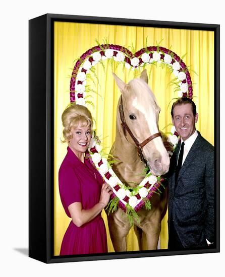 Mr. Ed-null-Framed Stretched Canvas