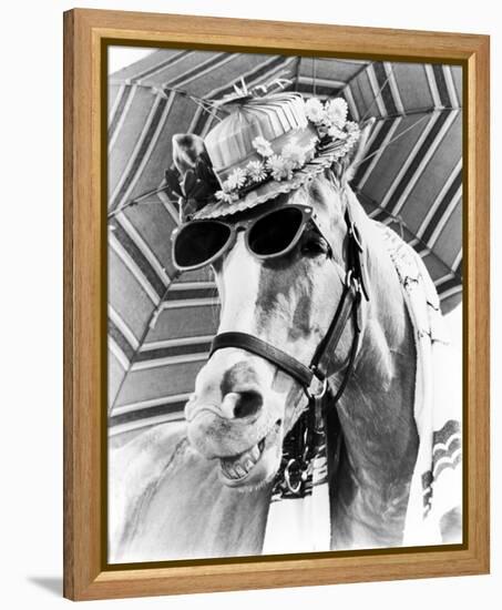 Mr. Ed-null-Framed Stretched Canvas