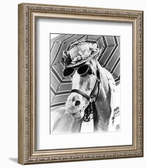 Mr. Ed-null-Framed Photo