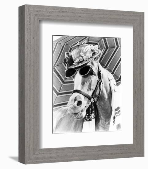 Mr. Ed-null-Framed Photo