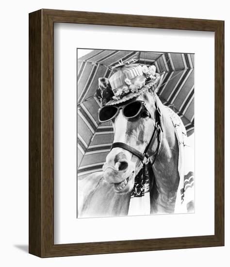 Mr. Ed-null-Framed Photo