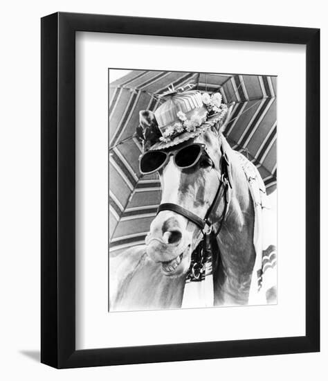 Mr. Ed-null-Framed Photo