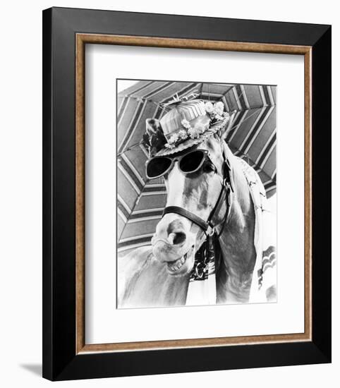 Mr. Ed-null-Framed Photo