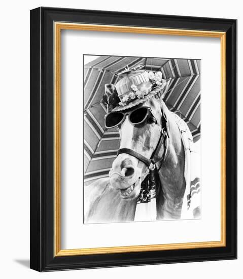 Mr. Ed-null-Framed Photo