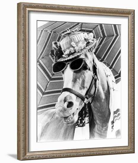 Mr. Ed-null-Framed Photo