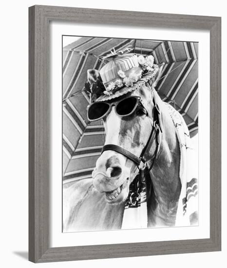 Mr. Ed-null-Framed Photo