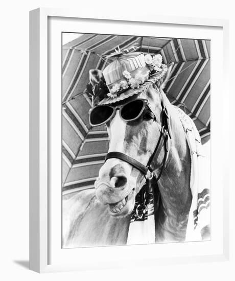 Mr. Ed-null-Framed Photo