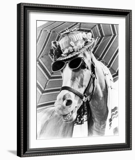 Mr. Ed-null-Framed Photo