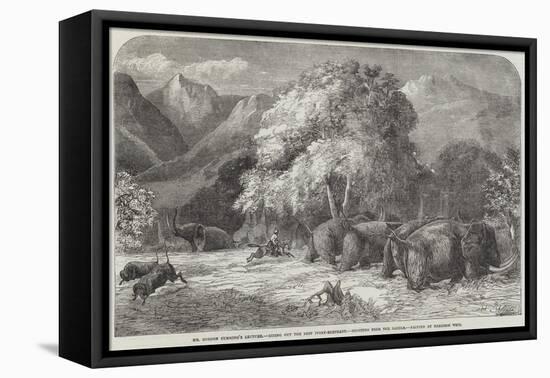 Mr Gordon Cumming's Lecture, Riding Out the Best Ivory-Elephant, Shooting from the Saddle-Harrison William Weir-Framed Premier Image Canvas