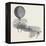 Mr. Green's Signal Balloon, Dispatches, and Parachute, for the Arctic Expedition-null-Framed Premier Image Canvas