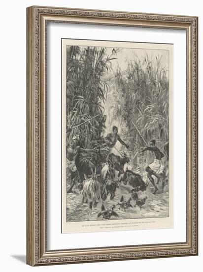 Mr H M Stanley's Emin Pasha Relief Expedition, Foraging for Supplies for the Yambuya Camp-William Heysham Overend-Framed Giclee Print
