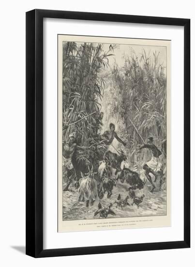 Mr H M Stanley's Emin Pasha Relief Expedition, Foraging for Supplies for the Yambuya Camp-William Heysham Overend-Framed Giclee Print