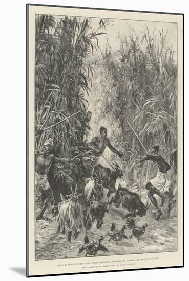 Mr H M Stanley's Emin Pasha Relief Expedition, Foraging for Supplies for the Yambuya Camp-William Heysham Overend-Mounted Giclee Print