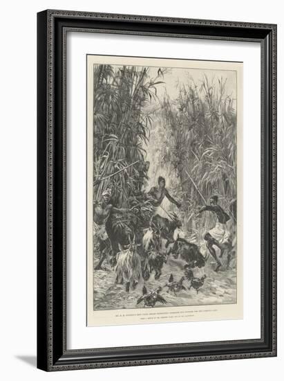 Mr H M Stanley's Emin Pasha Relief Expedition, Foraging for Supplies for the Yambuya Camp-William Heysham Overend-Framed Giclee Print