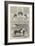 Mr J S Rarey, the American Horse-Tamer-John Leech-Framed Giclee Print