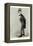 Mr James Weatherby, 1890-Liborio Prosperi-Framed Premier Image Canvas