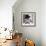 Mr JD Vanderbone-Fusion Idol Arts-Framed Giclee Print displayed on a wall