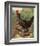 Mr. John Martin's Single Combed Dorking Hen-J^ W^ Ludlow-Framed Premium Giclee Print