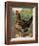 Mr. John Martin's Single Combed Dorking Hen-J^ W^ Ludlow-Framed Premium Giclee Print