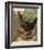 Mr. John Martin's Single Combed Dorking Hen-J^ W^ Ludlow-Framed Premium Giclee Print