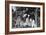 Mr. Matsumoto and Group of Children-Ansel Adams-Framed Art Print