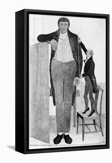 Mr O'Brien, the Irish Giant, the Tallest Man in the known World, 1803-John Kay-Framed Premier Image Canvas