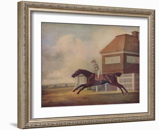 'Mr. Ogilvy's Bay Racehorse Trentham at Newmarket with Jockey up', 1771-George Stubbs-Framed Giclee Print