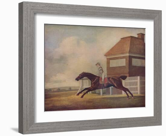 'Mr. Ogilvy's Bay Racehorse Trentham at Newmarket with Jockey up', 1771-George Stubbs-Framed Giclee Print