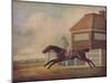 'Mr. Ogilvy's Bay Racehorse Trentham at Newmarket with Jockey up', 1771-George Stubbs-Mounted Giclee Print