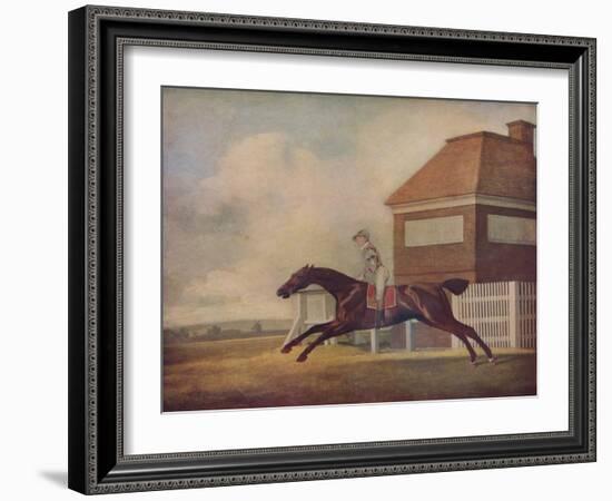 'Mr. Ogilvy's Bay Racehorse Trentham at Newmarket with Jockey up', 1771-George Stubbs-Framed Giclee Print