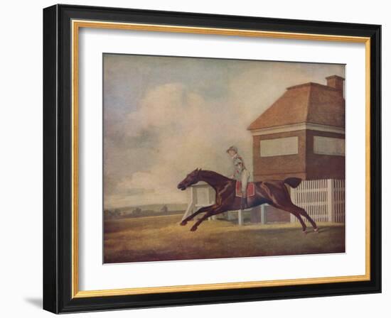 'Mr. Ogilvy's Bay Racehorse Trentham at Newmarket with Jockey up', 1771-George Stubbs-Framed Giclee Print