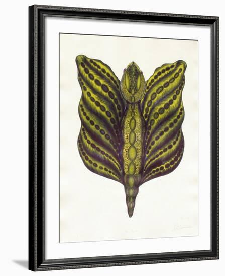 Mr Papillon II-Ben Banay-Framed Limited Edition